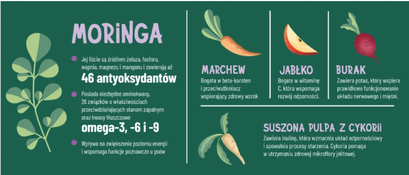 Zrzut ekranu 2025-07-30 102210.png